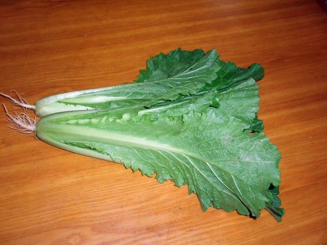Пекинская капуста Пекинская капуст