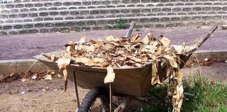 «Под будущий урожай» — Осенние работы в саду - Сад и огород Опавшие листья