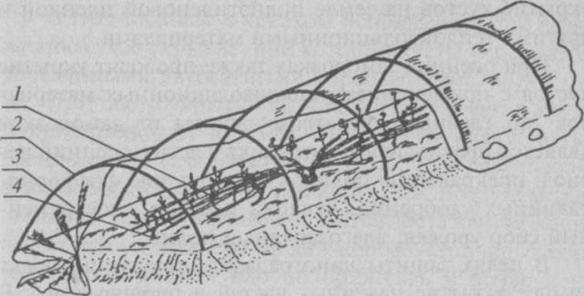 Укрытие винограда туннелем из полиэтилена: Рис. 1. Туннельное пленочное укрытие: 1 — куст; 2 - дуги; 3 - пленка; 4 - крючки