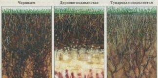 Типы почв