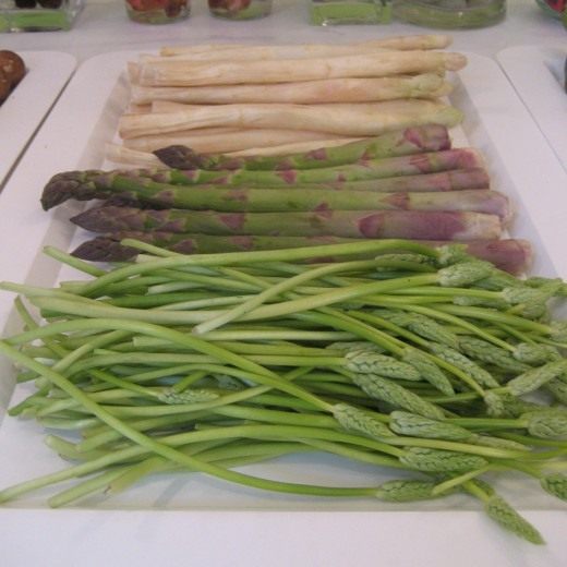 Спаржа, или Аспарагус (Asparagus)