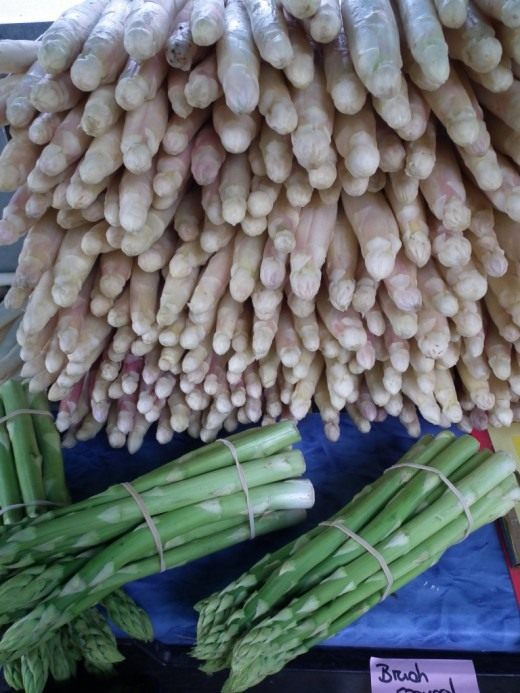 Спаржа, или Аспарагус (Asparagus)