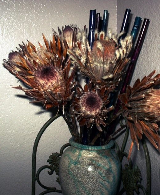 Высушенные цветы (Dried flowers)