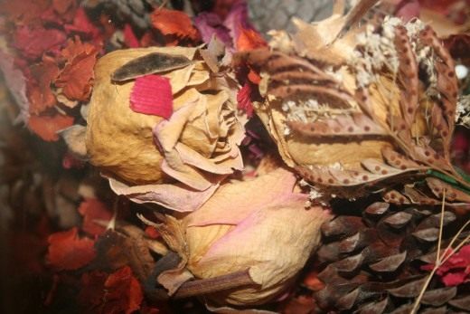 Высушенные цветы (Dried flowers)