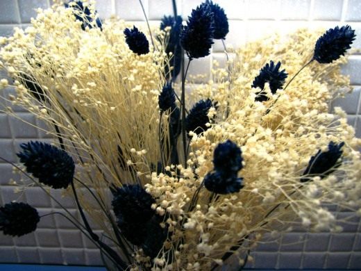 Высушенные цветы (Dried flowers)