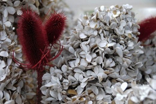 Высушенные цветы (Dried flowers)