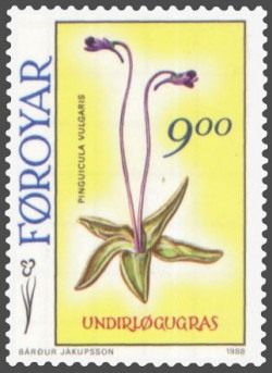 Жирянка обыкновенная (Butterwort) на марке Фарерских островов