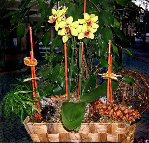 Цветочная композиция (Flower composition) Цветочная композиция с орхидеями