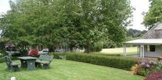 Газон на участке