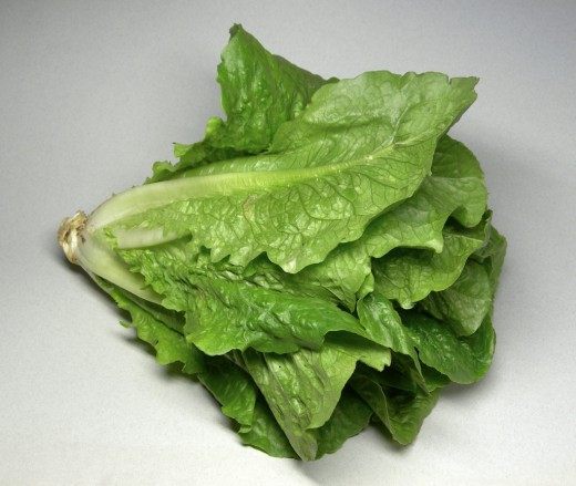 Салат ромен (Romaine lettuce)