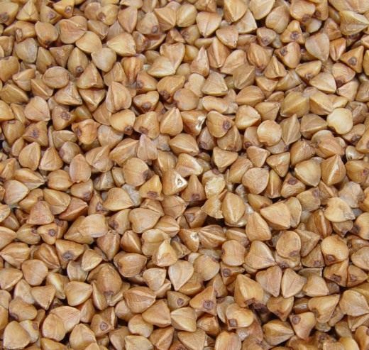 Гречиха (Buckwheat)