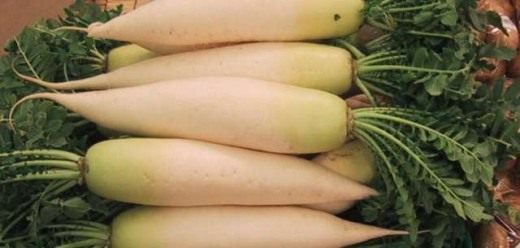 Дайкон (Daikon) Дайкон (Daikon)
