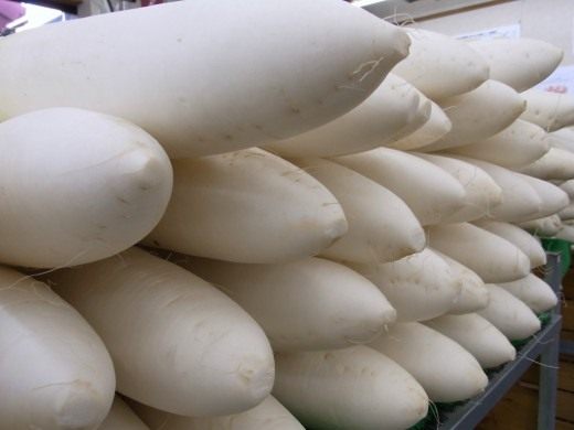 Дайкон (Daikon) Дайкон (Daikon)