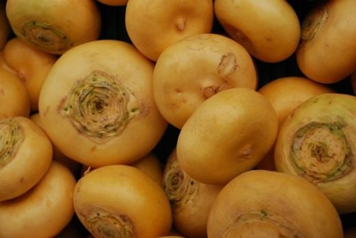 Репа (Turnip)