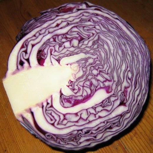 Капуста краснокочанная (Red cabbage)
