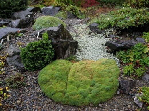 Альпинарий (Rock garden)