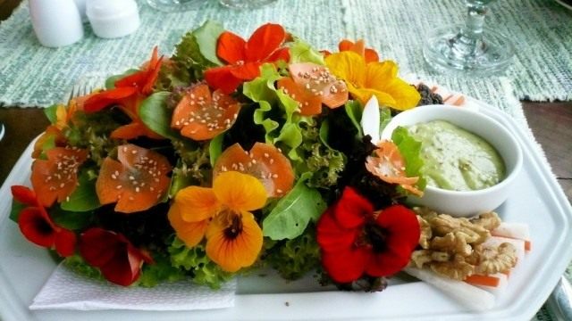 Салат с настурцией Салат с настурцией