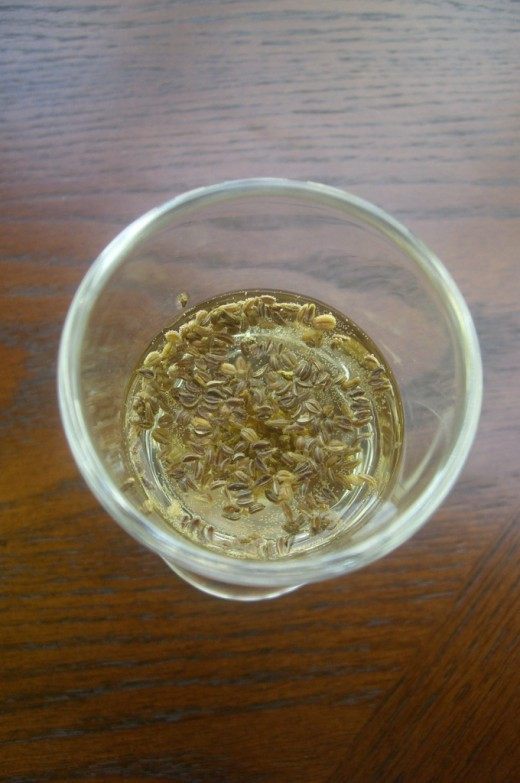 Замачивание семян в питательном растворе (Soak the seeds in the nutrient solution)