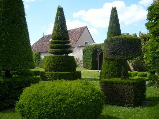 Фигурная стрижка, топиар (Topiary)