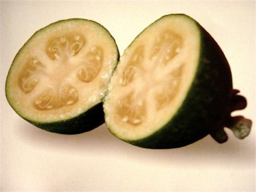 Фейхоа (Feijoa)