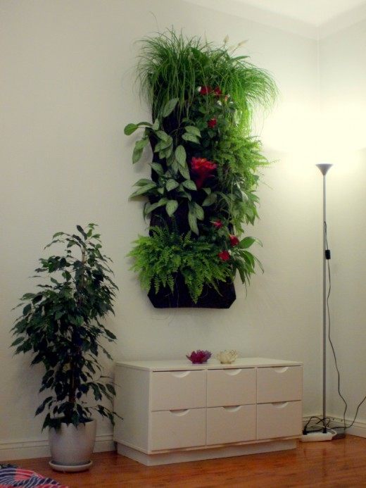 Вертикальное озеленение (Green Wall)