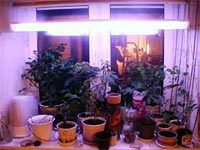 Пример осветительной системы с использованием люминесцентных ламп