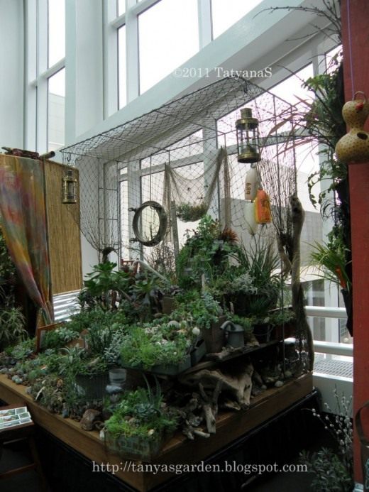 Суккуленты (Succulents)