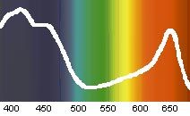 Спектр поглощения хлорофилла (по горизонтали - длина волны в nm) (The absorption spectrum of chlorophyll)