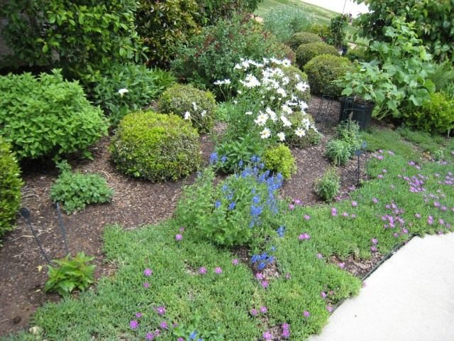 Цветник (Flower garden) Цветник (Flower garden)