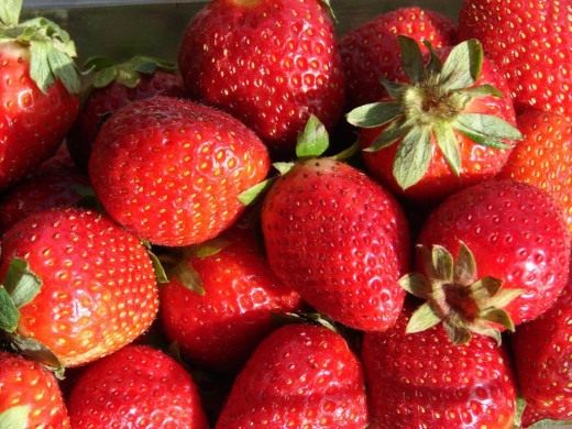 Земляника садовая (Strawberry)