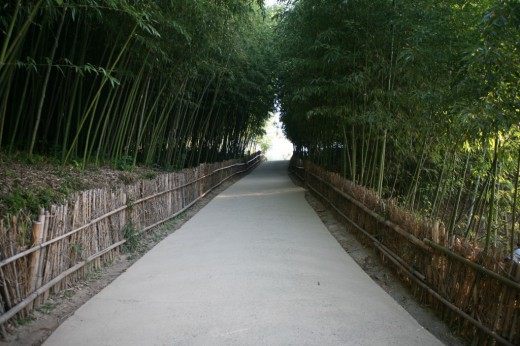 Бамбук (Bamboo)