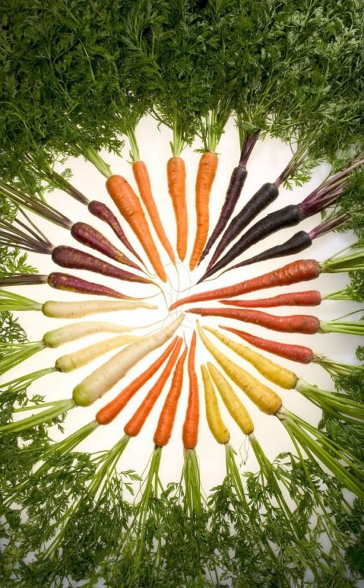 Морковь (Carrots) Морковь (Carrots)