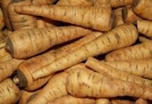 Пастернак (Parsnip)