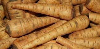 Пастернак (Parsnip)