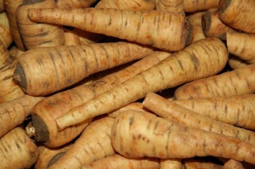 Пастернак (Parsnip)