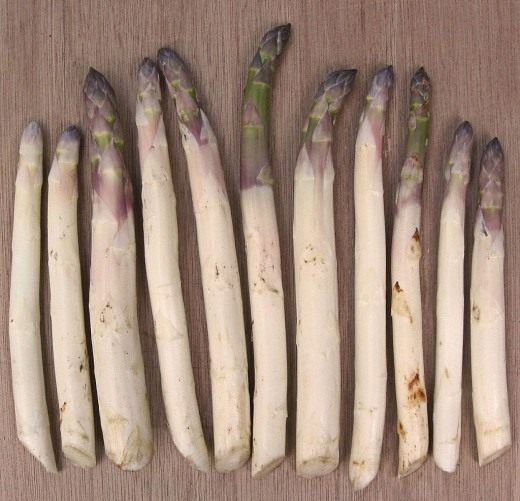 Спаржа, или Аспарагус (Asparagus)