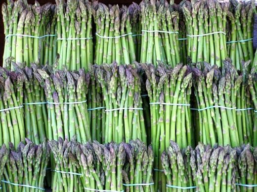 Спаржа, или Аспарагус (Asparagus)