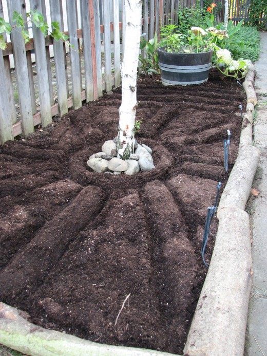 Содержание почвы, в саду (The content of the soil in the garden)
