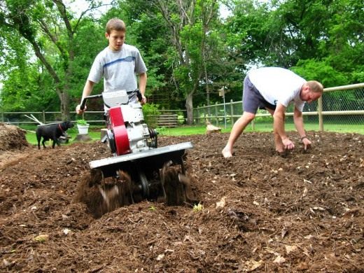 Содержание почвы, в саду (The content of the soil in the garden)