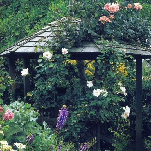 Зона отдыха в саду (Recreation area in the garden)