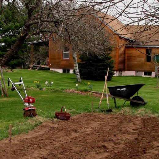 Содержание почвы, в саду (The content of the soil in the garden)