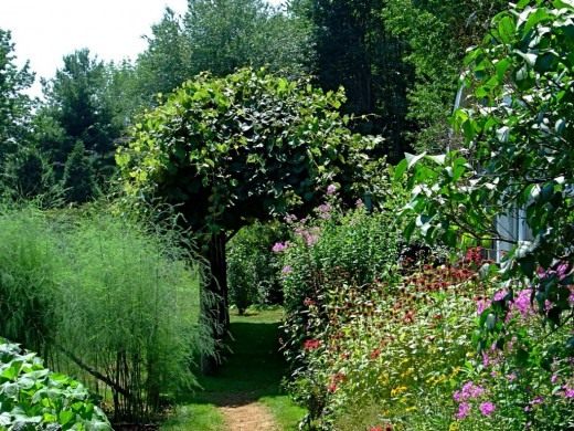 Зона отдыха в саду (Recreation area in the garden)