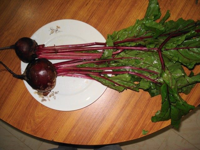 Свекла Свекла