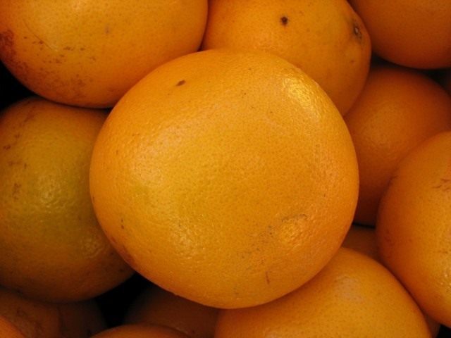 Цитрус (Citrus)
