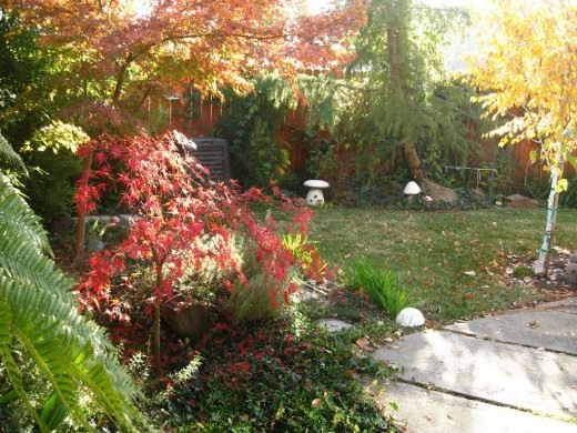 Осенний сад (Autumn garden)
