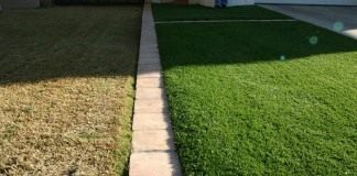 Газон (Lawn)