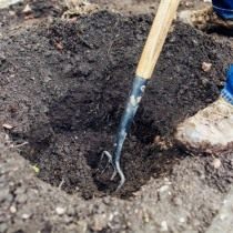 Выкапываем яму для посадки куста роз Выкапываем яму для посадки куста роз