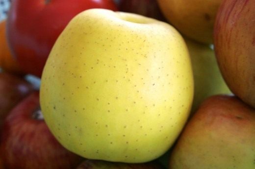 Яблоки (Apples)
