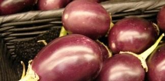 Баклажан (Solanum melongena)