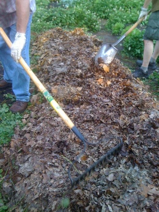 Мульчирование (Mulch)